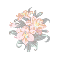 Prairie Rose Wedding Prairie Rose Wedding