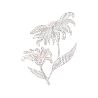 Purple Passionflower Wedding Purple Passionflower Wedding