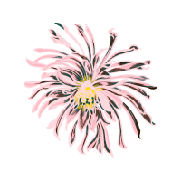 Purple Passionflower Wedding