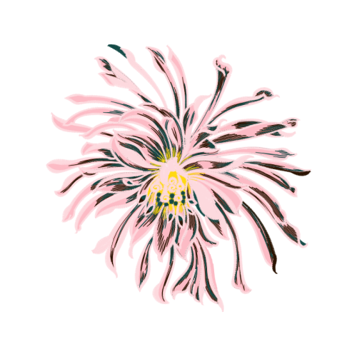 Purple Passionflower Wedding Purple Passionflower Wedding