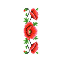 Qantu Chocolate Wedding Qantu Chocolate Wedding