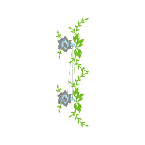 Ranunculus Wedding Ranunculus Wedding