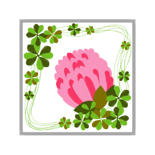 Redwood Sorrel Wedding Redwood Sorrel Wedding