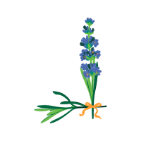 Rosa Glauca Wedding Rosa Glauca Wedding