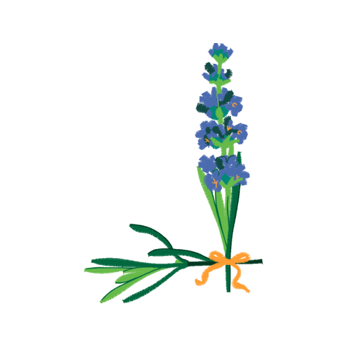 Rosa Glauca Wedding Rosa Glauca Wedding