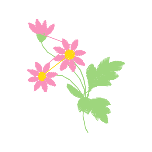 Rosa Glauca Wedding Rosa Glauca Wedding