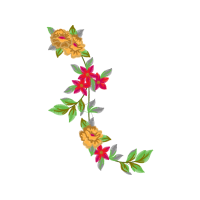 Rosa Glauca Wedding Rosa Glauca Wedding