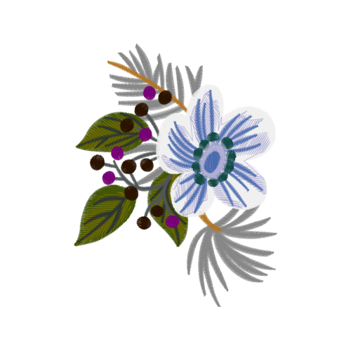 Rosa Glauca Wedding Rosa Glauca Wedding