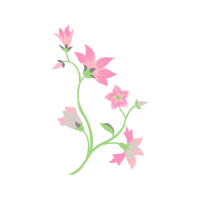 Rosa Glauca Wedding Rosa Glauca Wedding