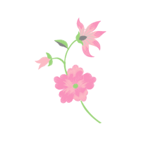 Rosa Glauca Wedding Rosa Glauca Wedding