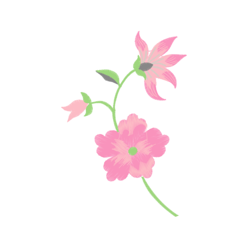 Rosa Glauca Wedding Rosa Glauca Wedding