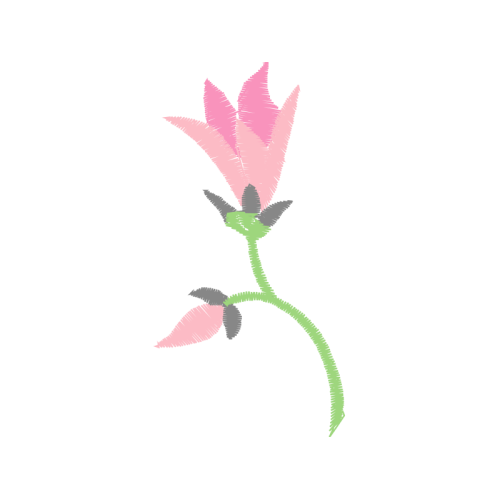 Rosa Glauca Wedding Rosa Glauca Wedding