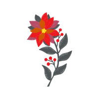 Rosa Glauca Wedding Rosa Glauca Wedding