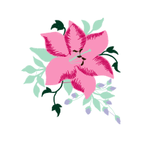 Rosa Glauca Wedding Rosa Glauca Wedding