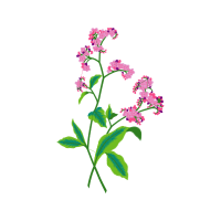 Royal Home Wedding Royal Home Wedding