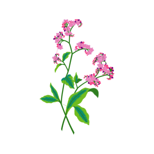 Royal Home Wedding Royal Home Wedding