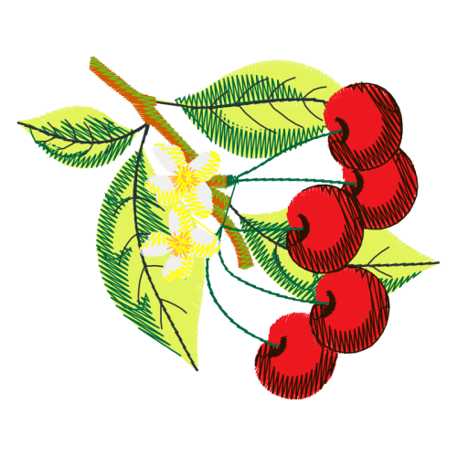 Seedless Fruit Wedding Seedless Fruit Wedding