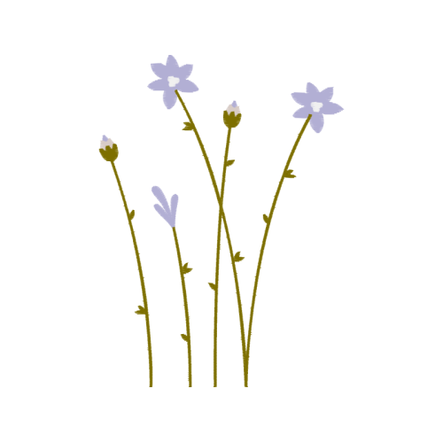 Sheep S Bit Wedding Sheep S Bit Wedding