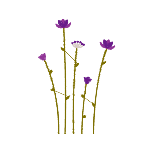 Sheep S Bit Wedding Sheep S Bit Wedding