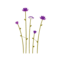 Sheep S Bit Wedding Sheep S Bit Wedding