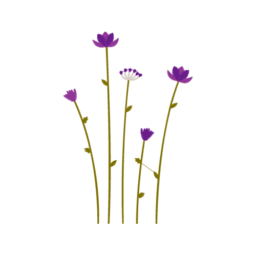 Sheep S Bit Wedding Sheep S Bit Wedding