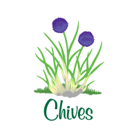 Sheep S Bit Wedding Sheep S Bit Wedding