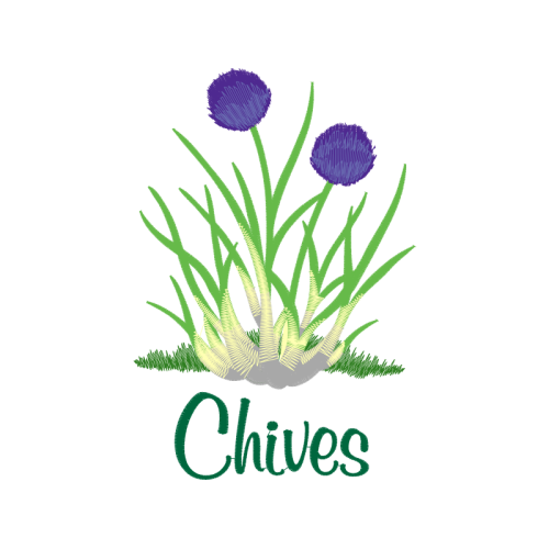 Sheep S Bit Wedding Sheep S Bit Wedding