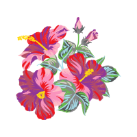 Shoeblackplant Wedding