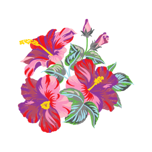 Shoeblackplant Wedding Shoeblackplant Wedding