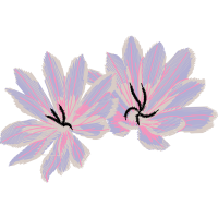 Shoeblackplant Wedding