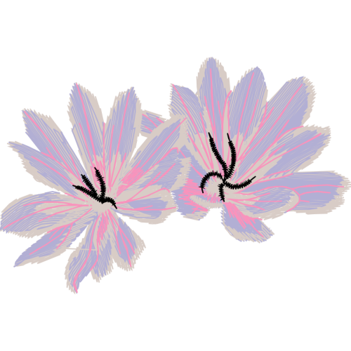 Shoeblackplant Wedding Shoeblackplant Wedding