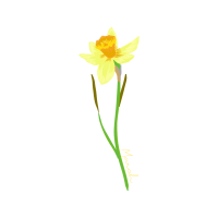 Silver Slipper Orchid Wedding Silver Slipper Orchid Wedding