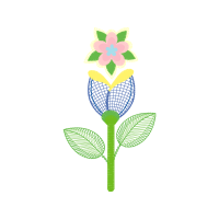 Silver Slipper Orchid Wedding Silver Slipper Orchid Wedding