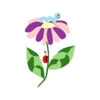 Slipper Orchids Wedding