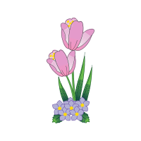 Snow Crocus Wedding Snow Crocus Wedding