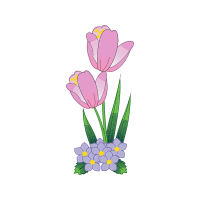 Snow Crocus Wedding Snow Crocus Wedding