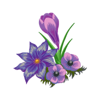 Snow Crocus Wedding Snow Crocus Wedding