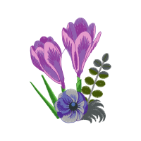 Snow Crocus Wedding Snow Crocus Wedding