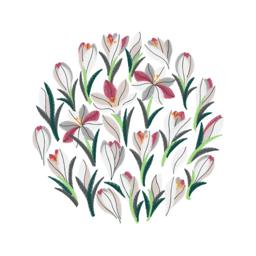 Snow Crocus Wedding Snow Crocus Wedding