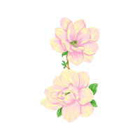 Southern Magnolia Wedding Southern Magnolia Wedding