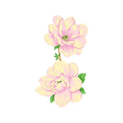 Southern Magnolia Wedding Southern Magnolia Wedding