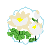 Southern Magnolia Wedding Southern Magnolia Wedding