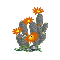 Stone Plants Wedding Stone Plants Wedding