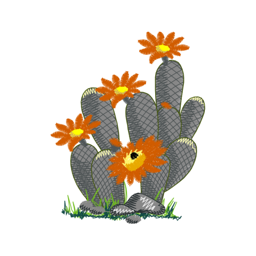 Stone Plants Wedding Stone Plants Wedding