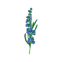 Stonecrops Wedding Stonecrops Wedding