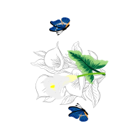 Swallowtail Butterfly Wedding