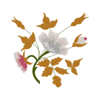 Swamp Rose Wedding Swamp Rose Wedding