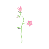 Swamp Rose Wedding Swamp Rose Wedding