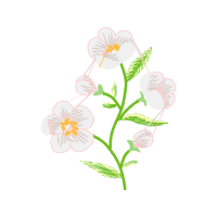 Sweet Brier Wedding Sweet Brier Wedding