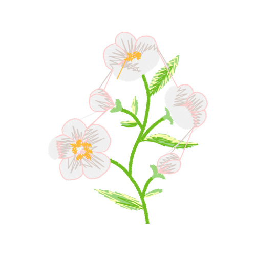 Sweet Brier Wedding Sweet Brier Wedding